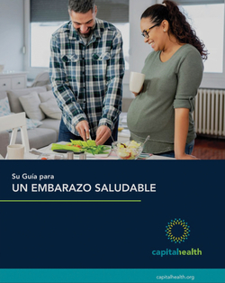 Your Free Guide to a Healthy Pregnancy (Spanish)