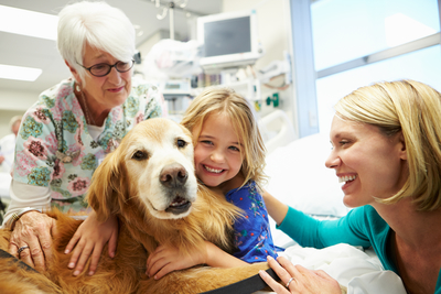 Pet Therapy Programs at Capital Health