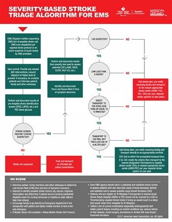 Stroke Triage Algorithm