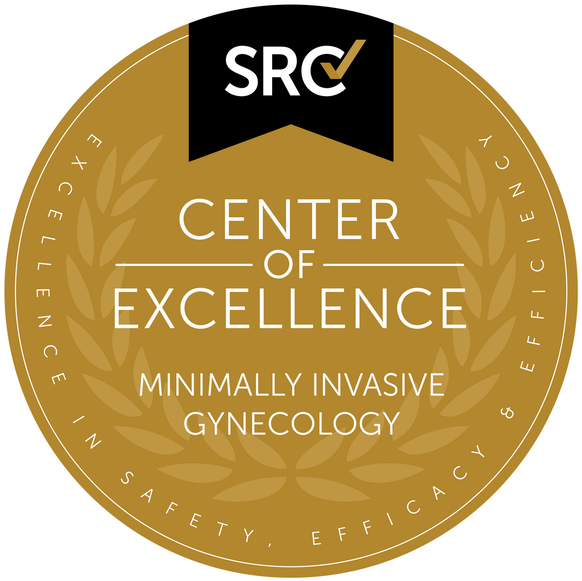 SRC Center of Excellence in Minimally Invasive Gynecology