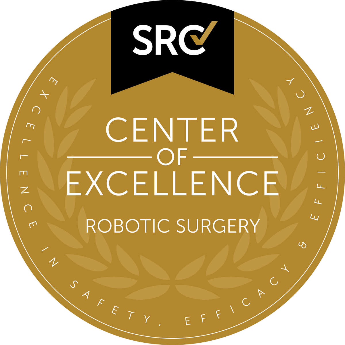 SRC Center of Excellence Robotic Surgery